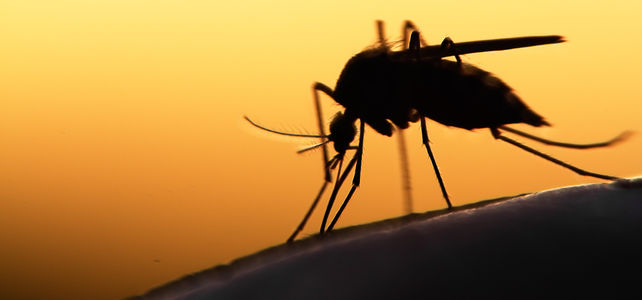 Malaria per \