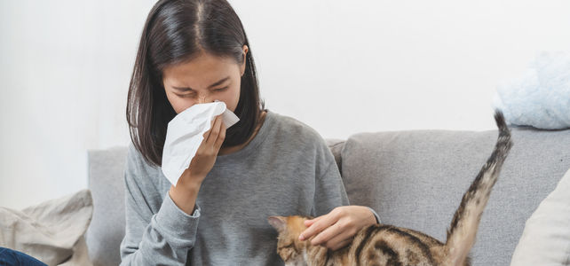 Katzenallergie Impfung Kosten